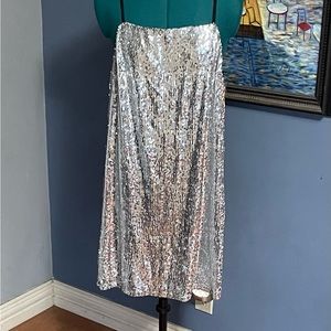 NWT sequin dress. Silver. Sz L